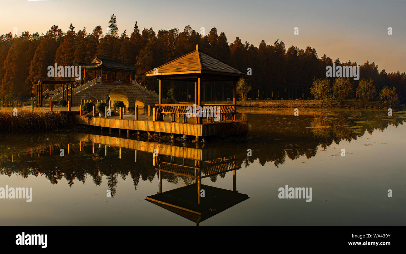 Le parc forestier de l'eau de l'automne Banque D'Images