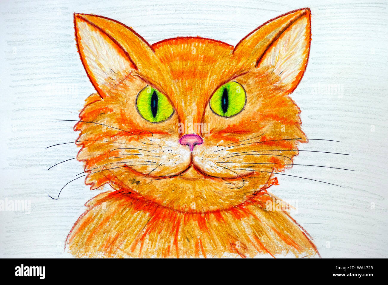 Crayon dessin à la main portrait de chat de gingembre. Close up. Banque D'Images
