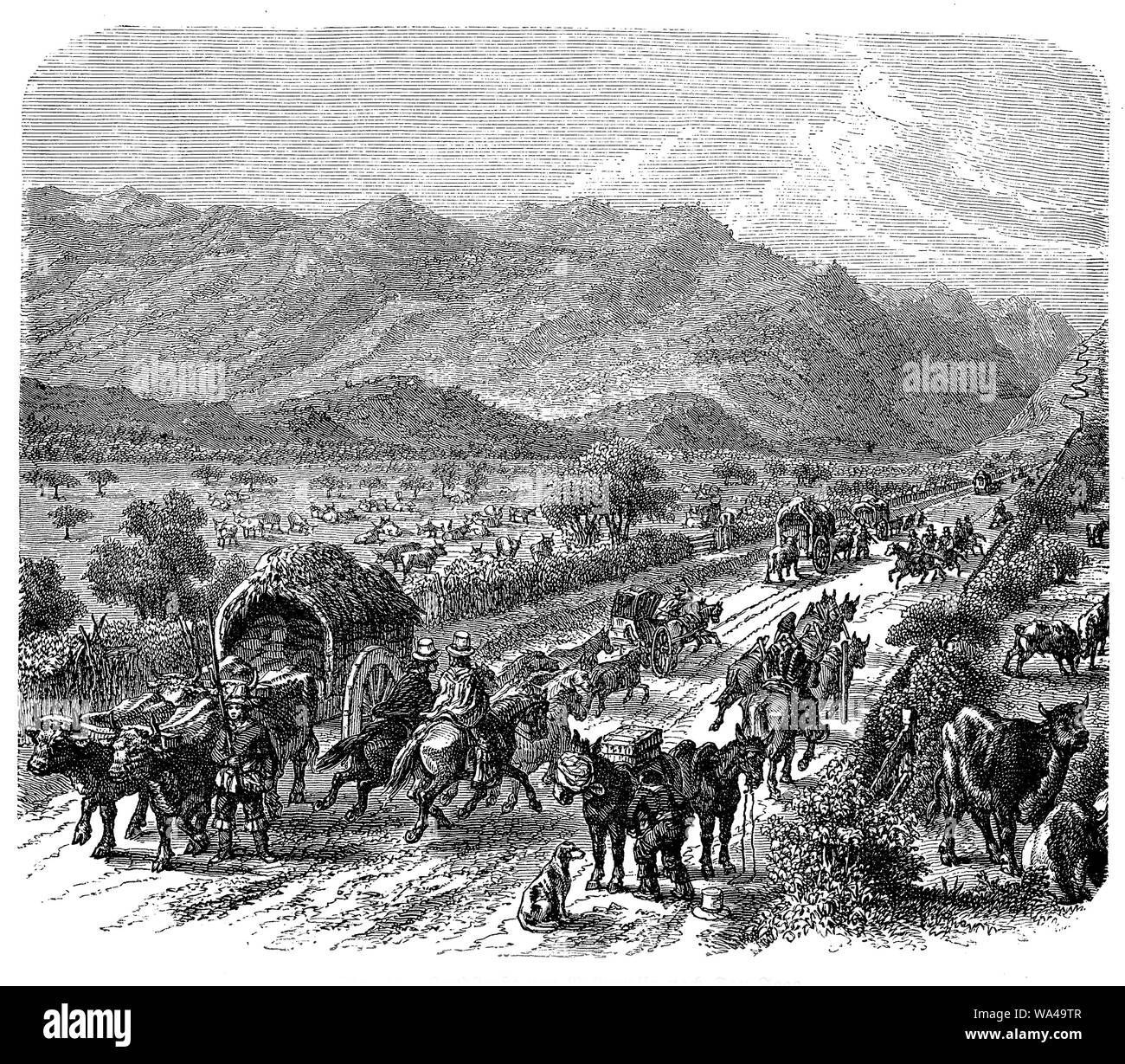 Chili - Chemin de Santiago à Valparaiso, le Pacifique Sud est le plus important port maritime Banque D'Images