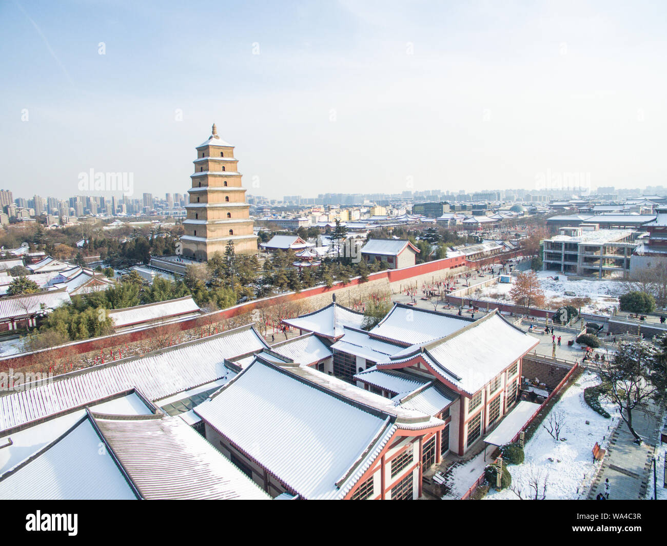 La pagode de l'oie d'hiver Banque D'Images