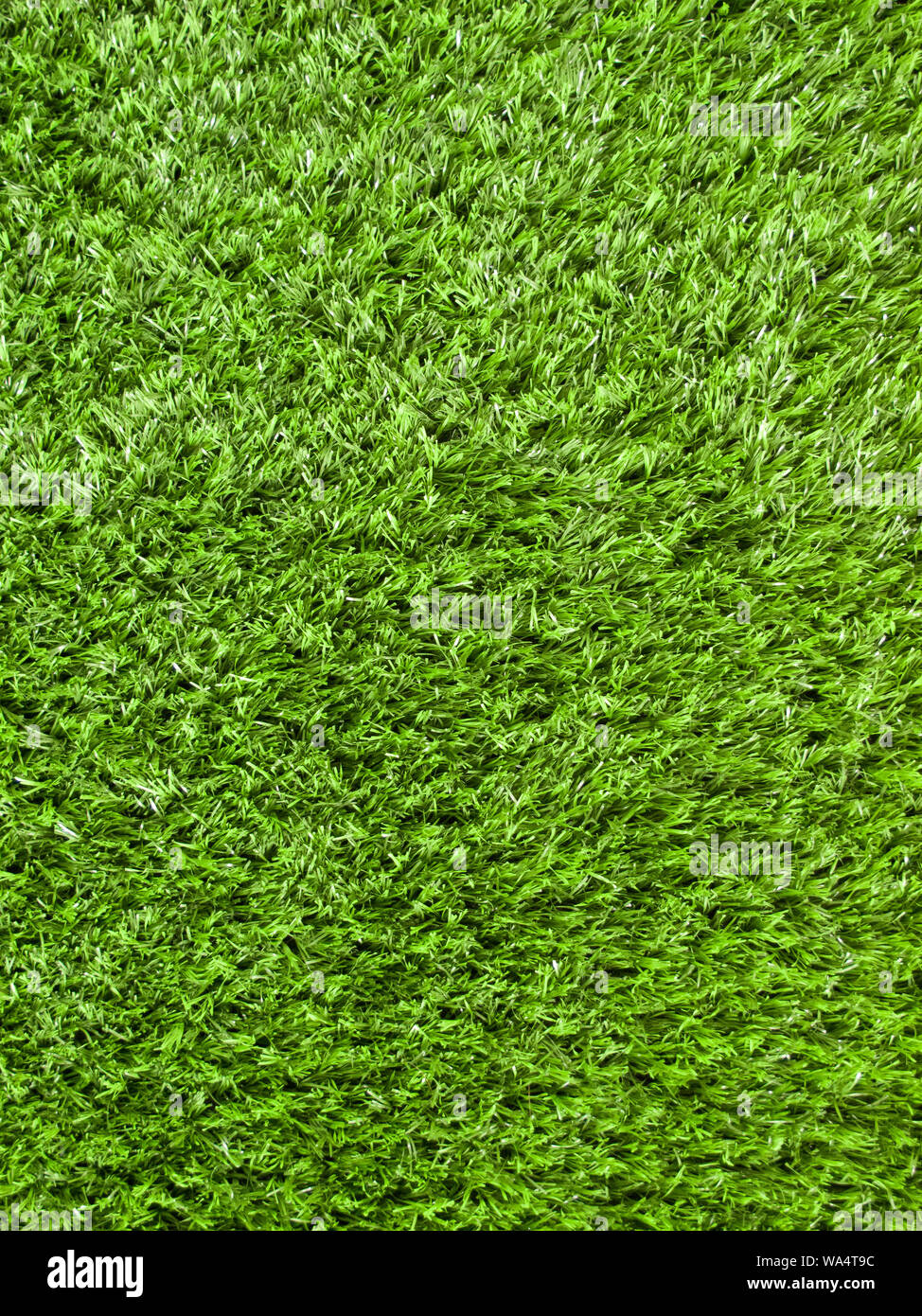 Détail de la zone d'herbe vue du dessus Banque D'Images