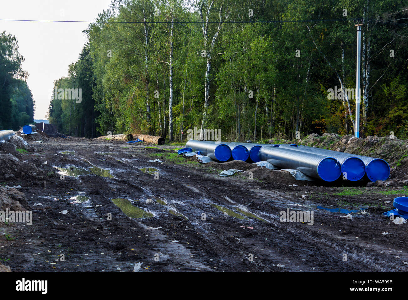 Reconstruction de la gas pipeline . De nouveaux tuyaux préparé pour l'installation. Taïga comme arrière-plan. Le sol excavé et traces de matériel de construction . Banque D'Images