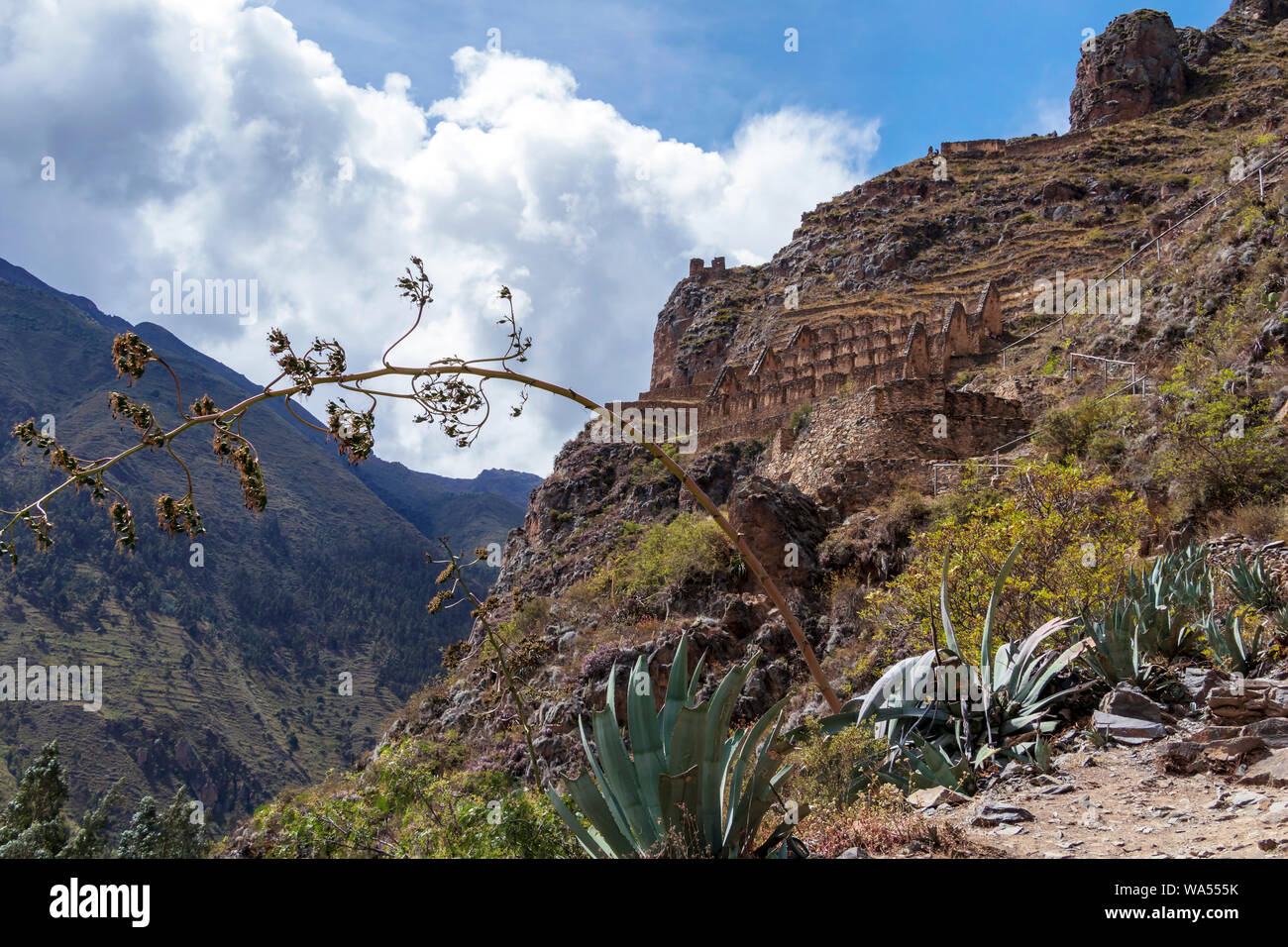 Ruines d'Ollantaytambo : ruines de signification religieuse en grande partie, la dernière et la plus importante des structures défensives de l'époque inca, la Vallée Sacrée des Incas Banque D'Images