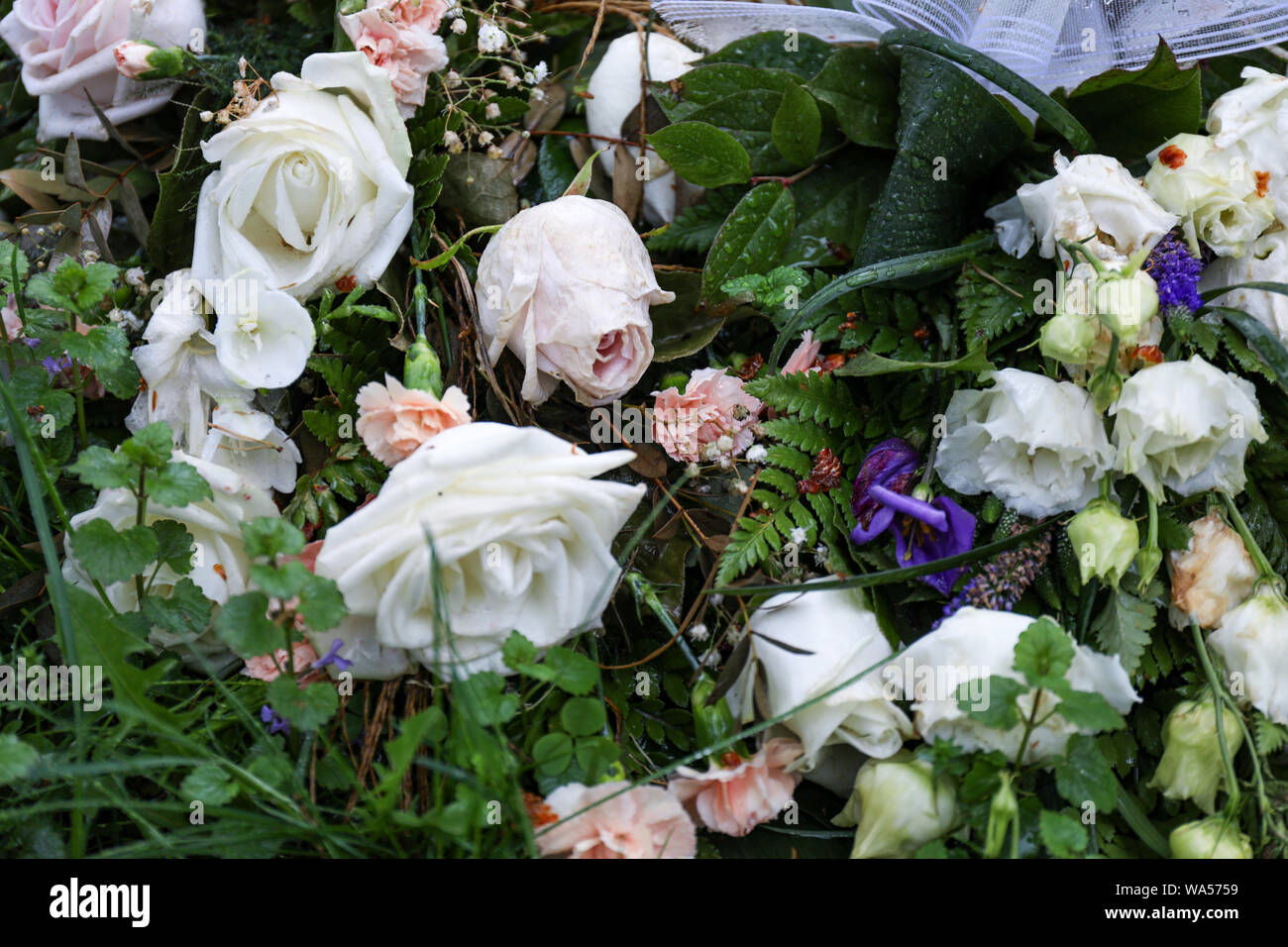 Fleurs funéraire sur une tombe fraîche Banque D'Images