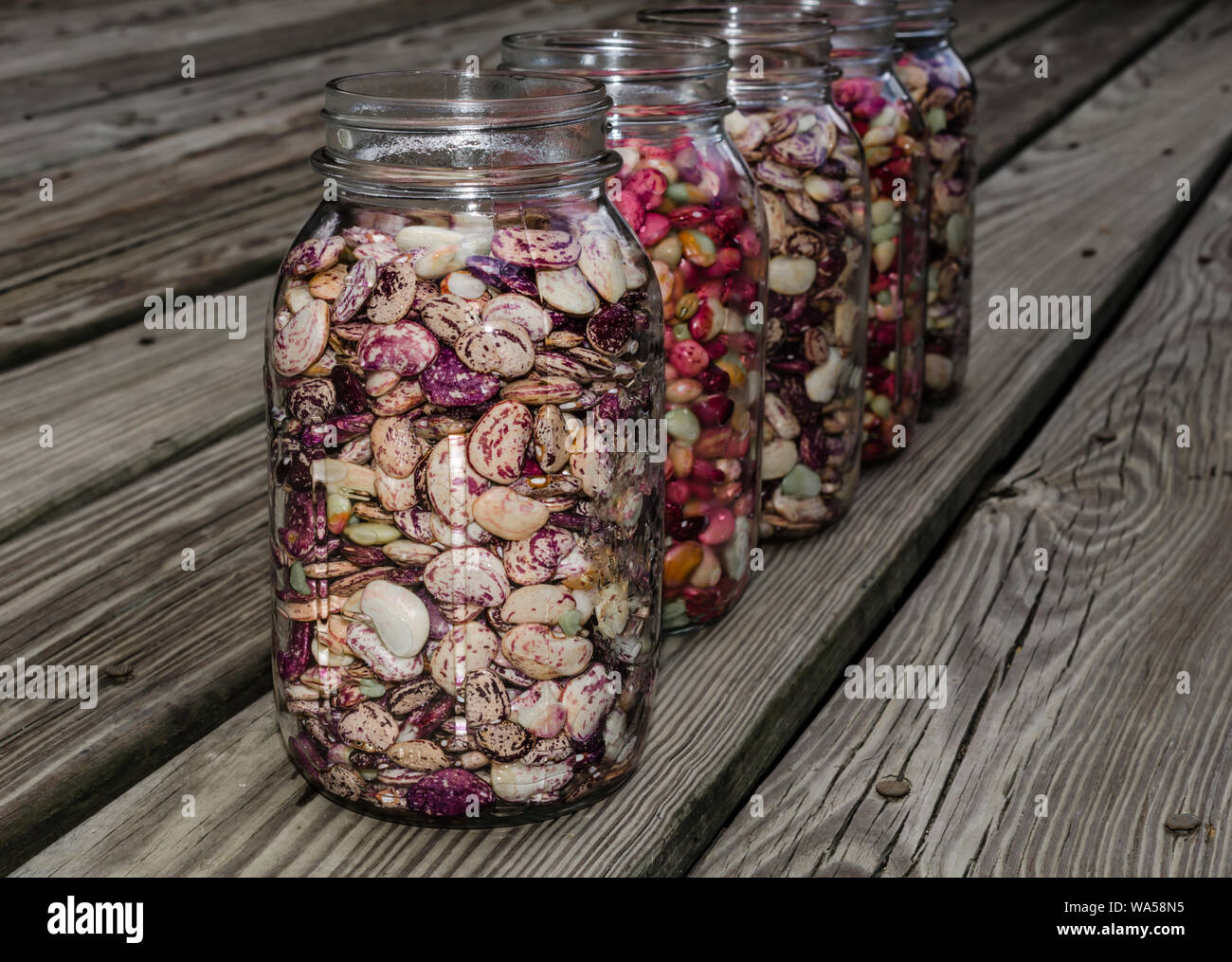 Des fèves et pois, prêt à le peuvent. Produits frais bio haricots secs Haricots beurre beurre, y compris les pois, pois coque violet, haricot de Lima, le sud de l'omble. Banque D'Images