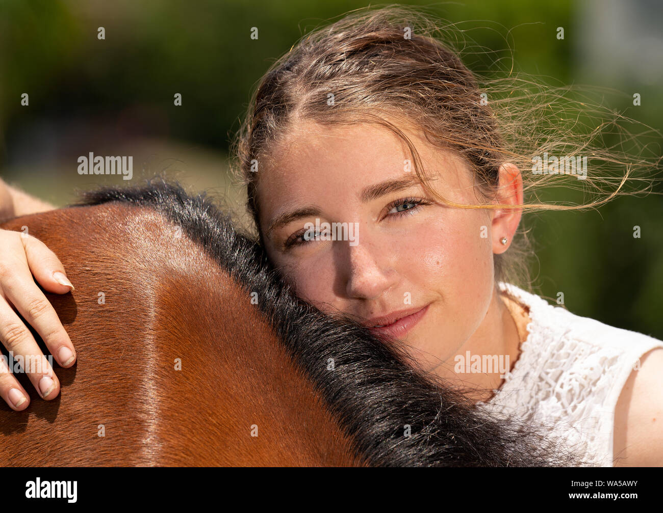 Une jeune fille et son cheval Banque D'Images