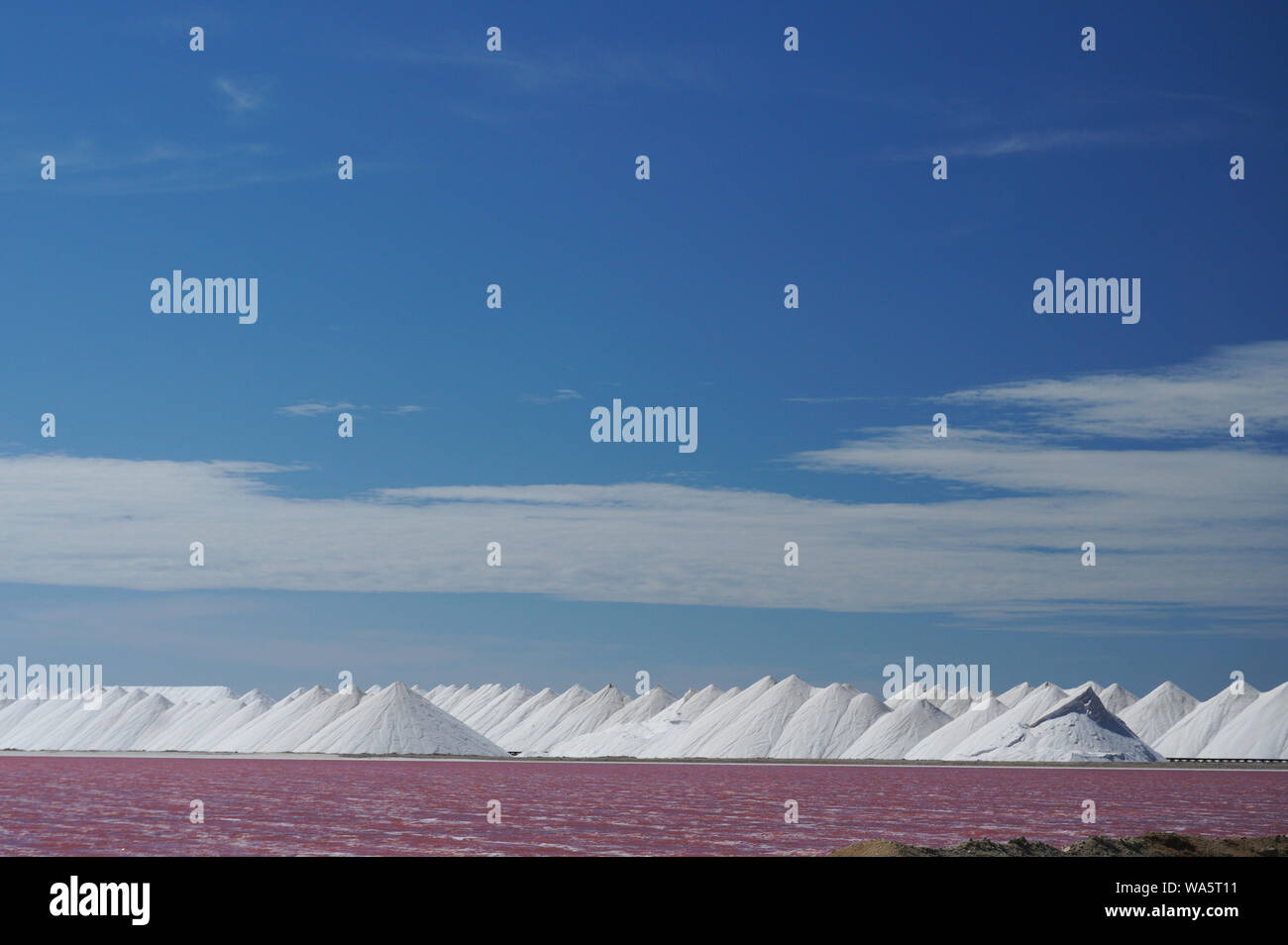 Le sel de mer est récolté dans les marais salants rose vif sur l'île de Bonaire dans les Caraïbes Banque D'Images