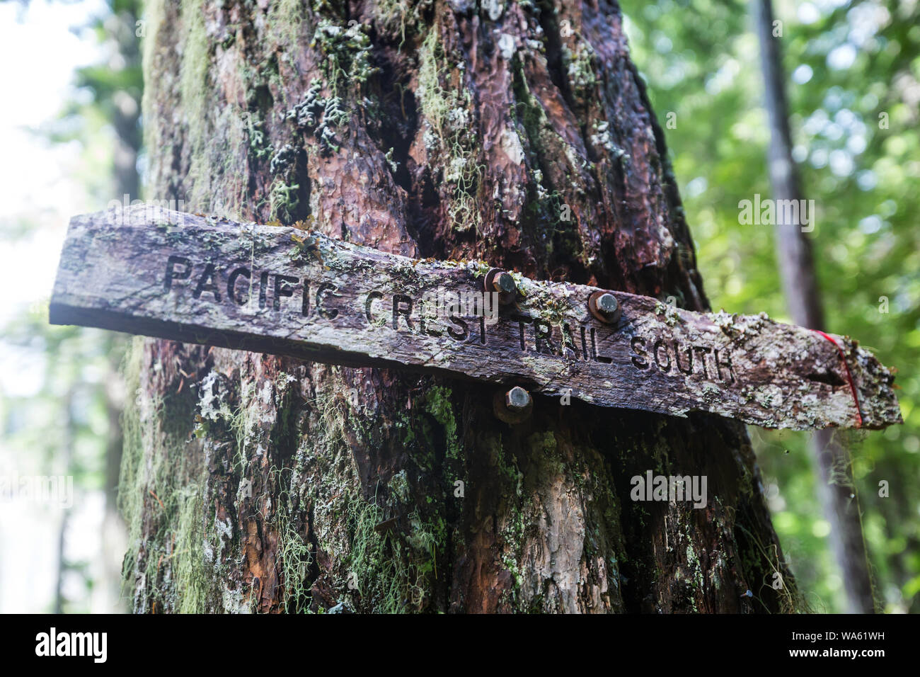 Poteau de signalisation pour Pacific Crest Trail. Sentier de randonnée de la célèbre en Amérique du Nord. Banque D'Images