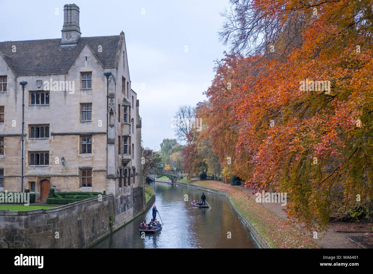 Vue sur le bâtiment et les feuilles d'automne le long de la rivière Cam à Cambridge, Royaume-Uni Banque D'Images