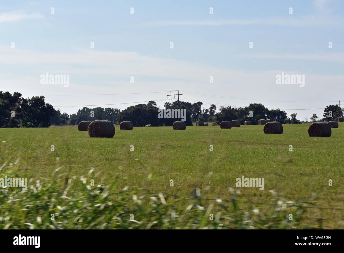 Haybales dans le domaine Banque D'Images