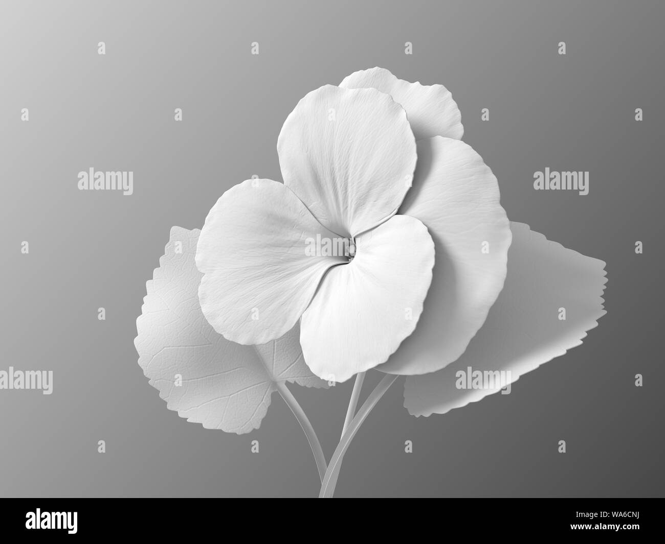 Fleur blanche Viola sur Background. 3D Illustration. Banque D'Images