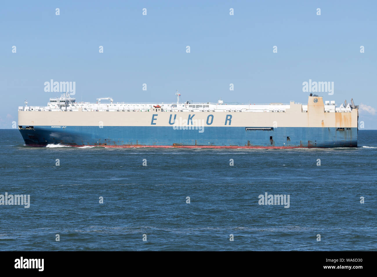 Matin LILY outbound Rotterdam. EUKOR est une institution spécialisée des voyage ligne formée en 2002. Banque D'Images