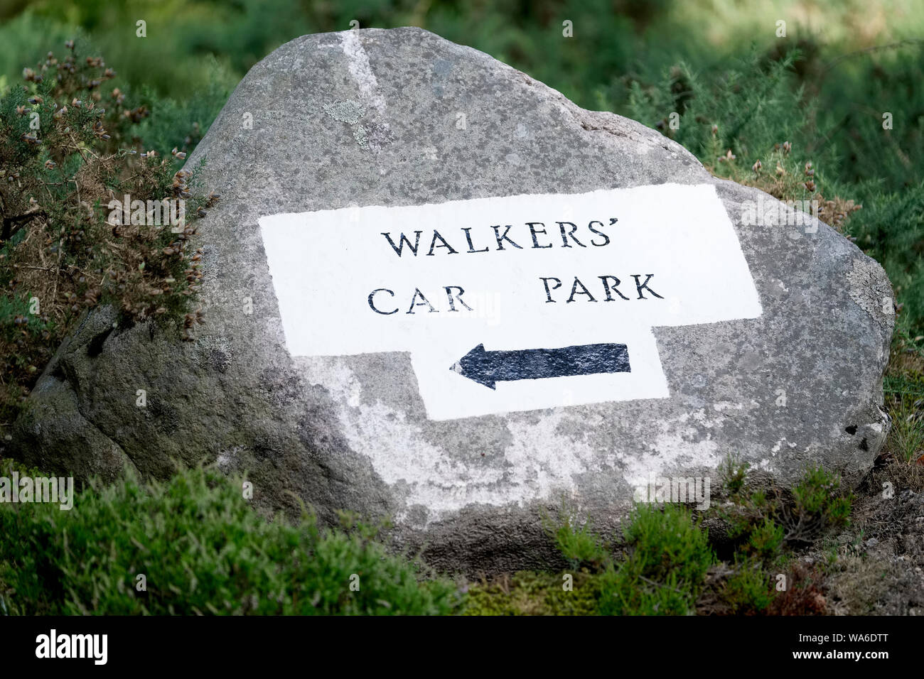 Les promeneurs du parc de voiture flèche de direction sign painted on rock dans les bois Banque D'Images