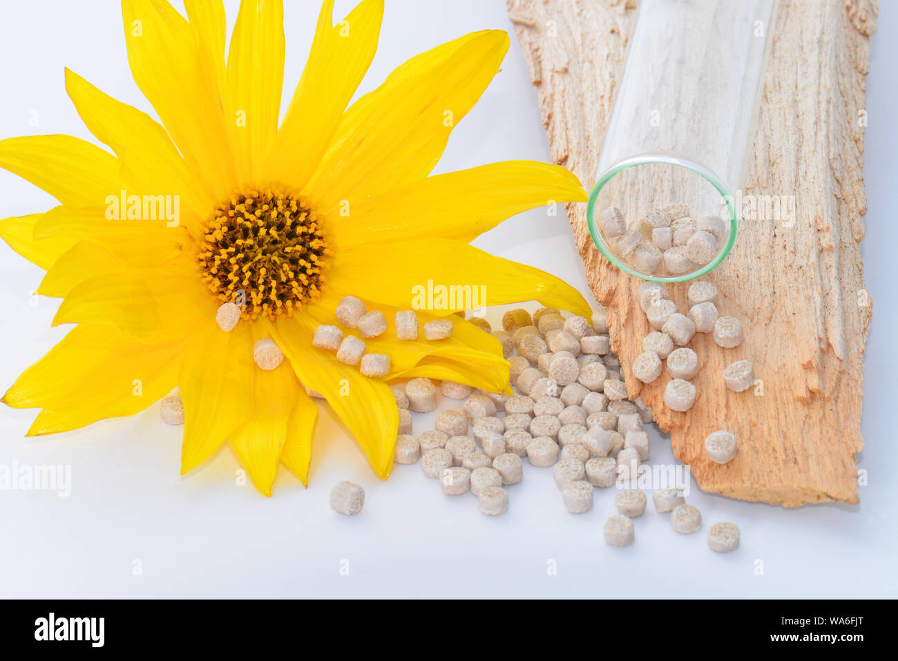 Laboratoire de polymères bio Banque D'Images