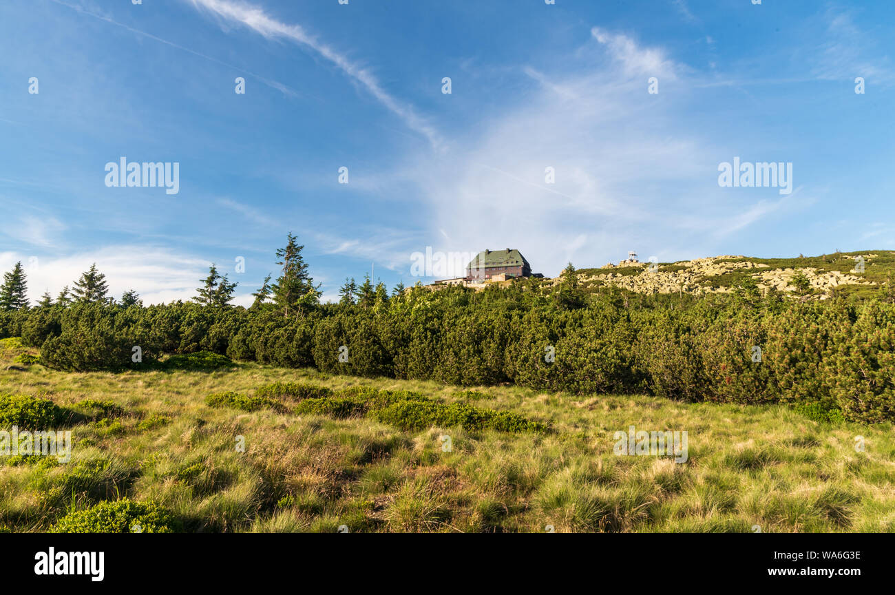 Szrenica hill avec hut, Pinus mugo des arbustes et des roches dans les montagnes de Karkonosze en Pologne à proximité des frontières avec la République tchèque Banque D'Images