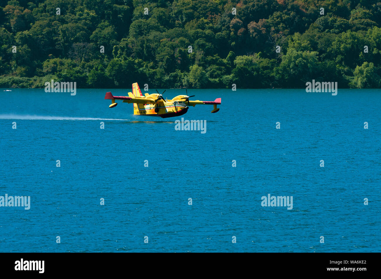 Avion Canadair CL-415 des pompiers en vol sur le lac Albano pour charger l'eau, Parc Régional des Castelli Romani, Rome, Latium, Italie Banque D'Images