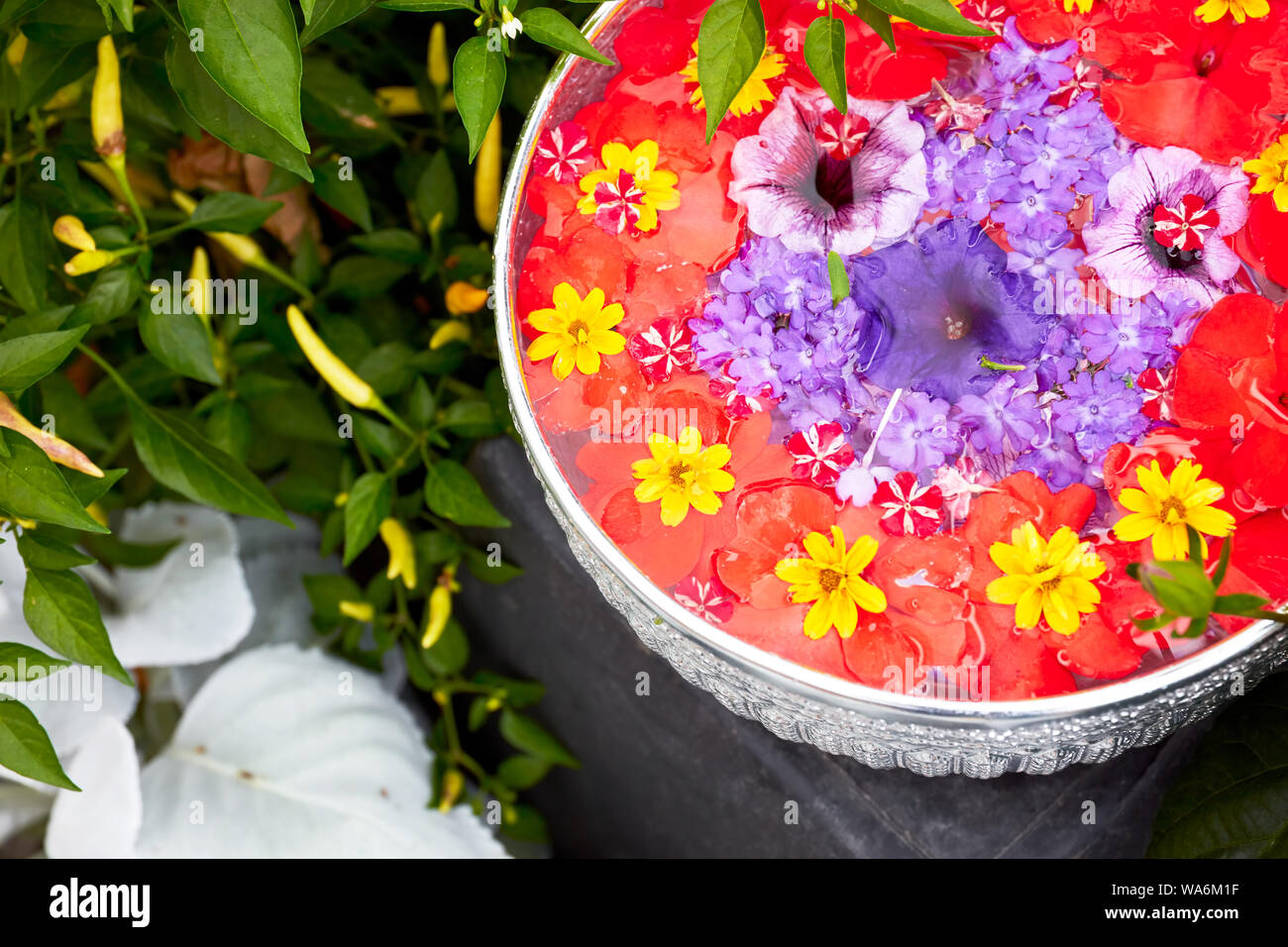 Fleurs décoratives colorées flottant dans un bol d'eau en aluminium Banque D'Images