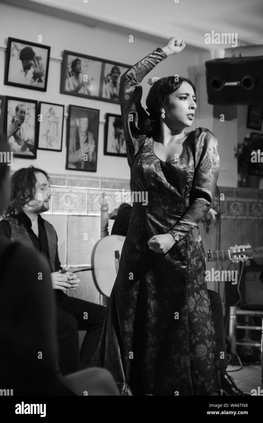 Des soirées Flamenco à Pena Flamenca Nino de Velez dans Velez-Malaga Banque D'Images