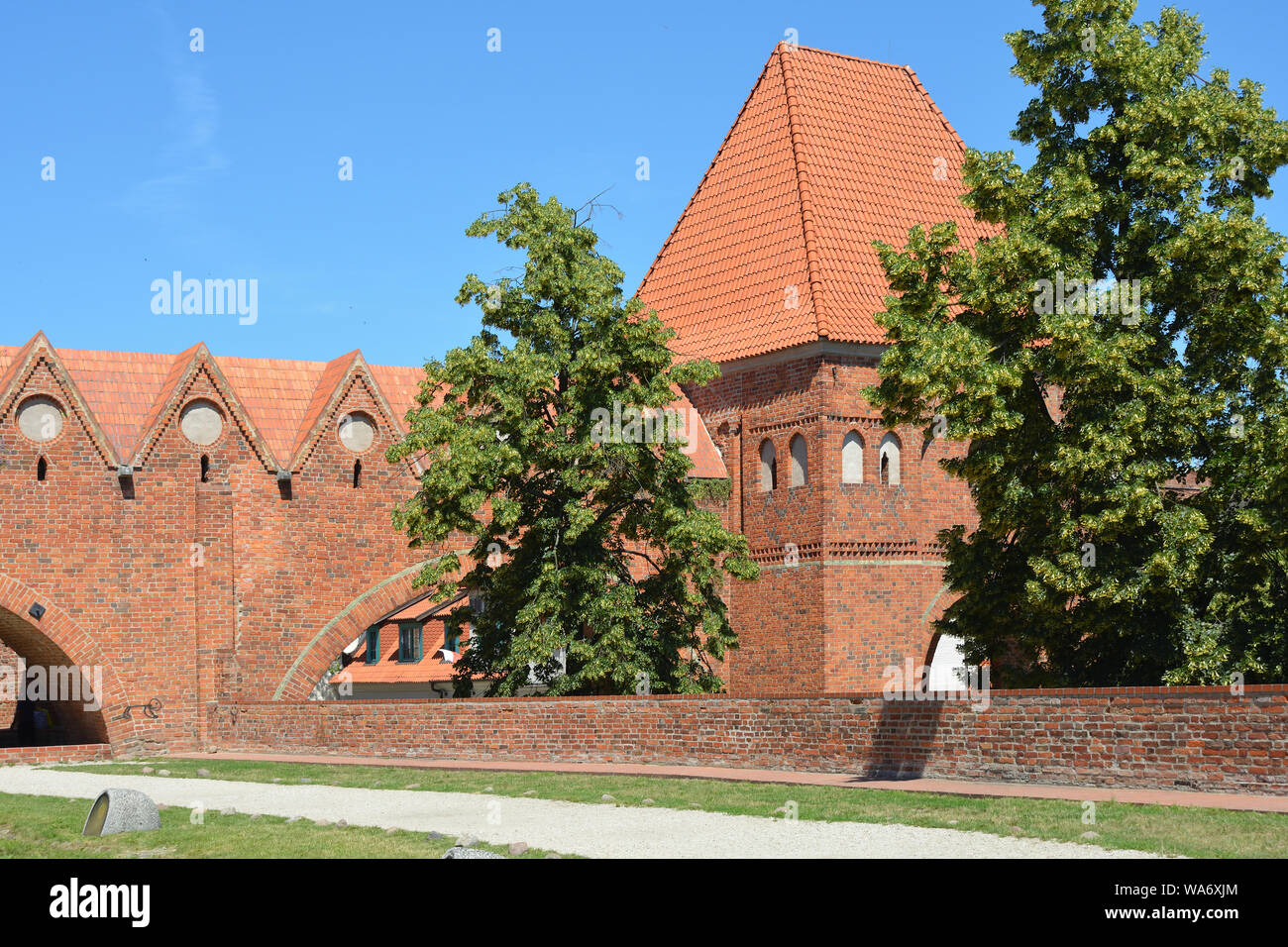 Château de Torun construit en 1260 par l'Ordre des Chevaliers teutoniques comme une forteresse - Pologne. Banque D'Images