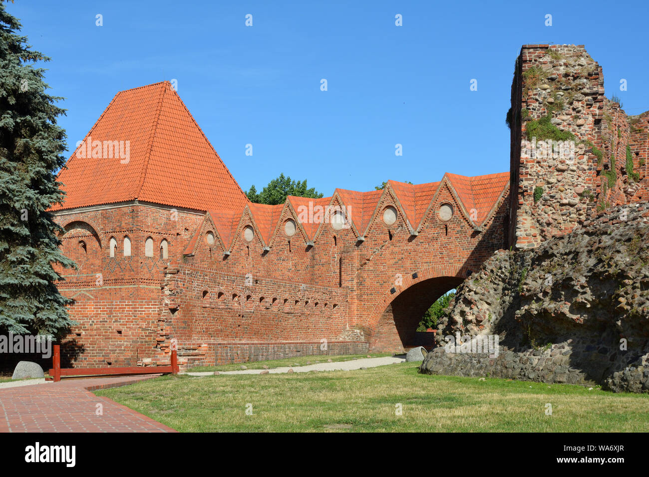 Château de Torun construit en 1260 par l'Ordre des Chevaliers teutoniques comme une forteresse - Pologne. Banque D'Images