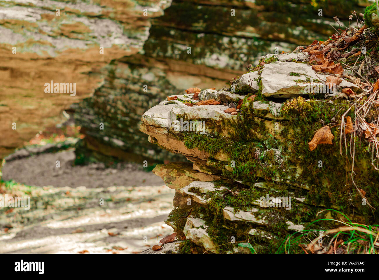 Vue dans un étroit canyon isolé, labyrinthe naturel de pierre en couches de végétation sur les murs Banque D'Images