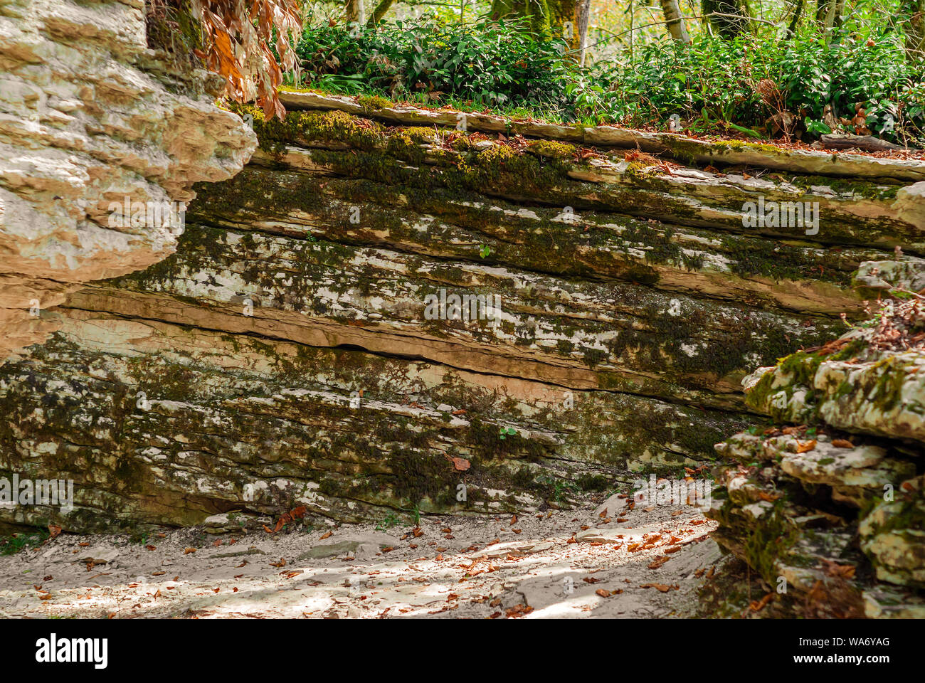 Vue dans un étroit canyon isolé, labyrinthe naturel de pierre en couches de végétation sur les murs Banque D'Images
