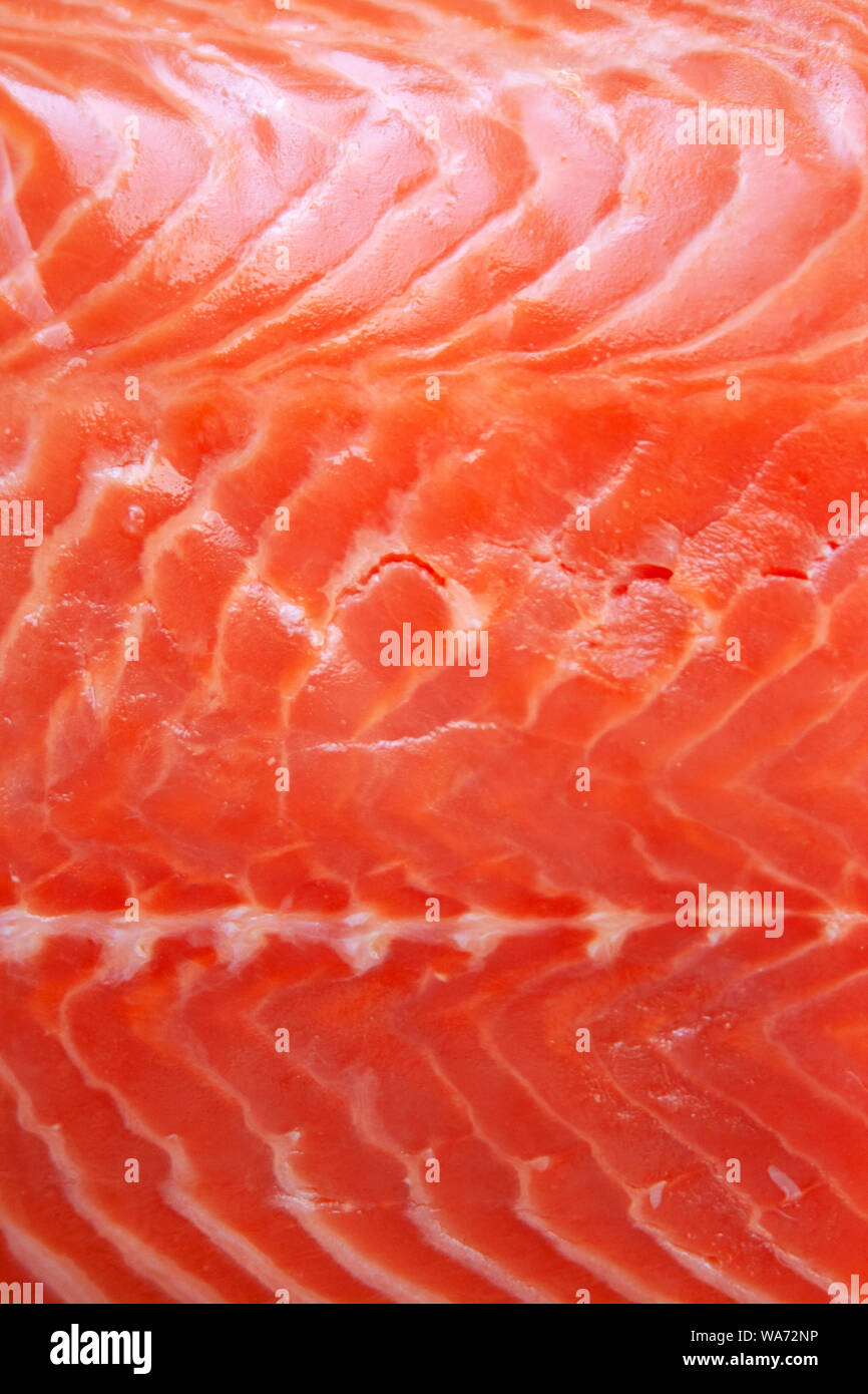 Filet de poisson saumon cru frais détail abstract background Banque D'Images