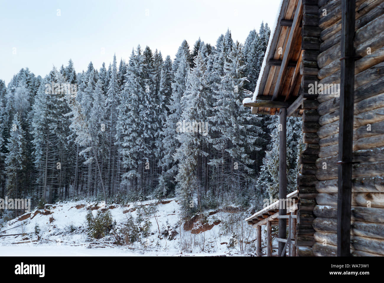 Vue de la forêt couverte de neige sur la rive du fleuve et d'un fragment d'un ancien immeuble du journal sur un jour nuageux Banque D'Images