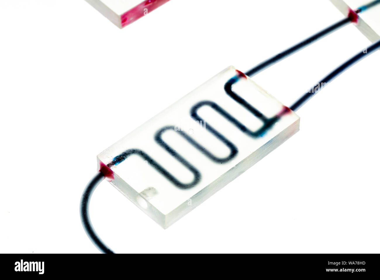 Organe-sur-puce (OOC) - dispositif microfluidique puce qui simule les organes biologiques c'est le type d'organes artificiels. Conception de prototypes de laboratoires sur puce Banque D'Images