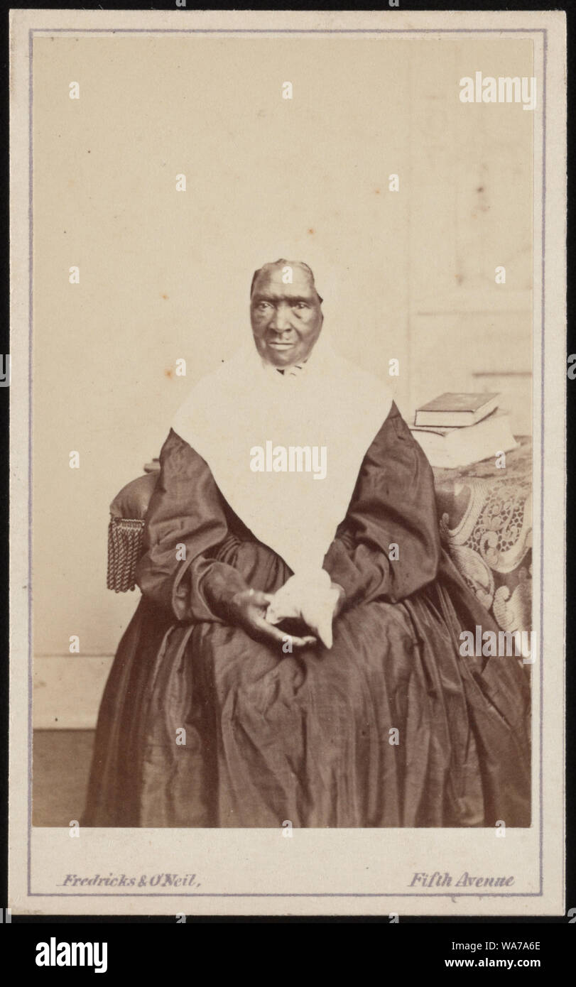 African American Woman identifiés comme tante Fannie, serviteur de la famille Lott] / Fredricks & O'Neil, Fifth Avenue Galerie de photographies, 179 Fifth Avenue, New York ; L.D. Fredricks ; John O'Neil Banque D'Images