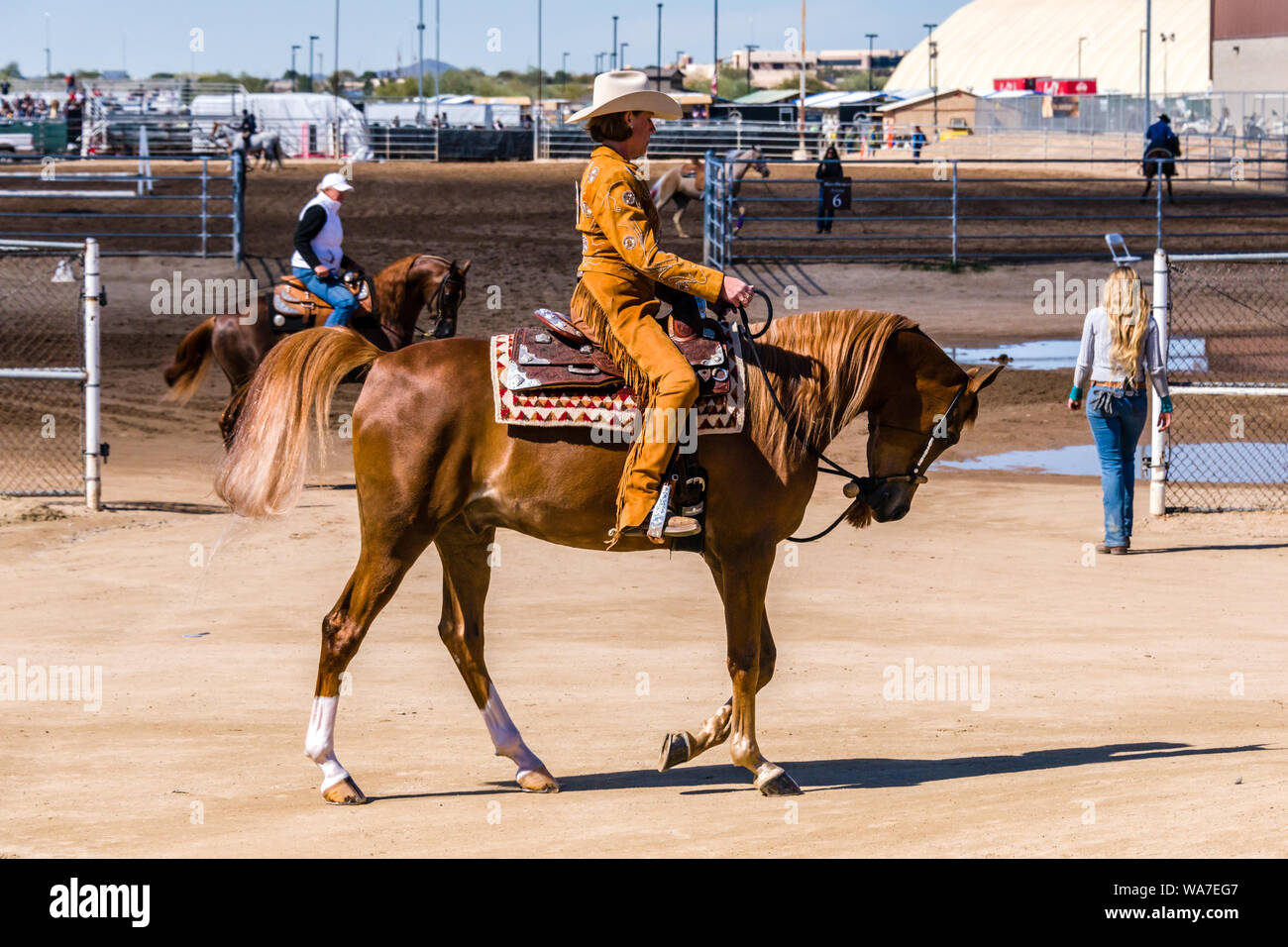 Scottsdale Arabian Horse Show pratique de la concurrence Banque D'Images