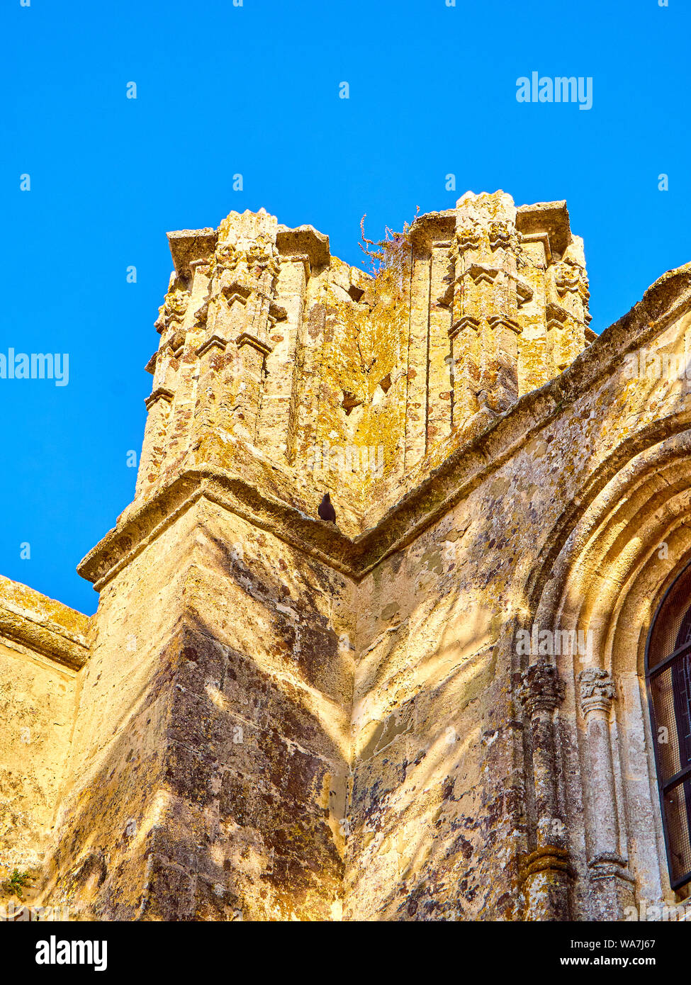 Détail de la façade nord-ouest de Divino Salvador église. Vejer de la Frontera centre-ville. La province de Cádiz, Andalousie, espagne. Banque D'Images