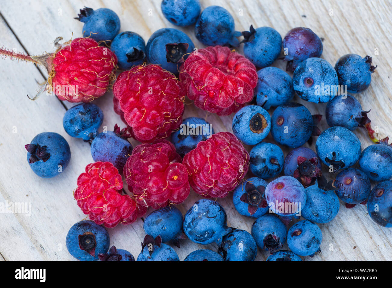 Bleuets et framboises sauvages contexte Banque D'Images