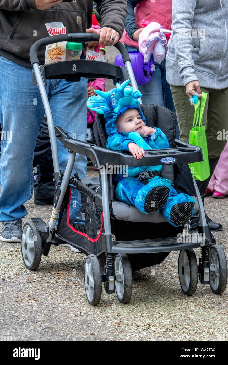 27 octobre 2018 Coloma MI USA ; un mignon petit bébé dans un costume de  dinosaure bleu aime être poussé dans sa poussette à un événement  d'Halloween en plein air Photo Stock - Alamy