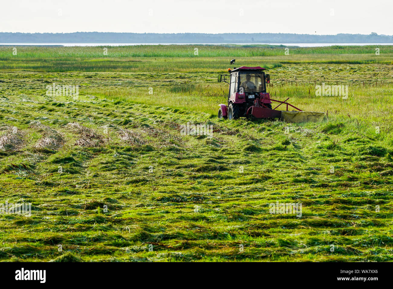 Un tracteur avec une tondeuse tond l'herbe dans les prés du bord du lac Banque D'Images