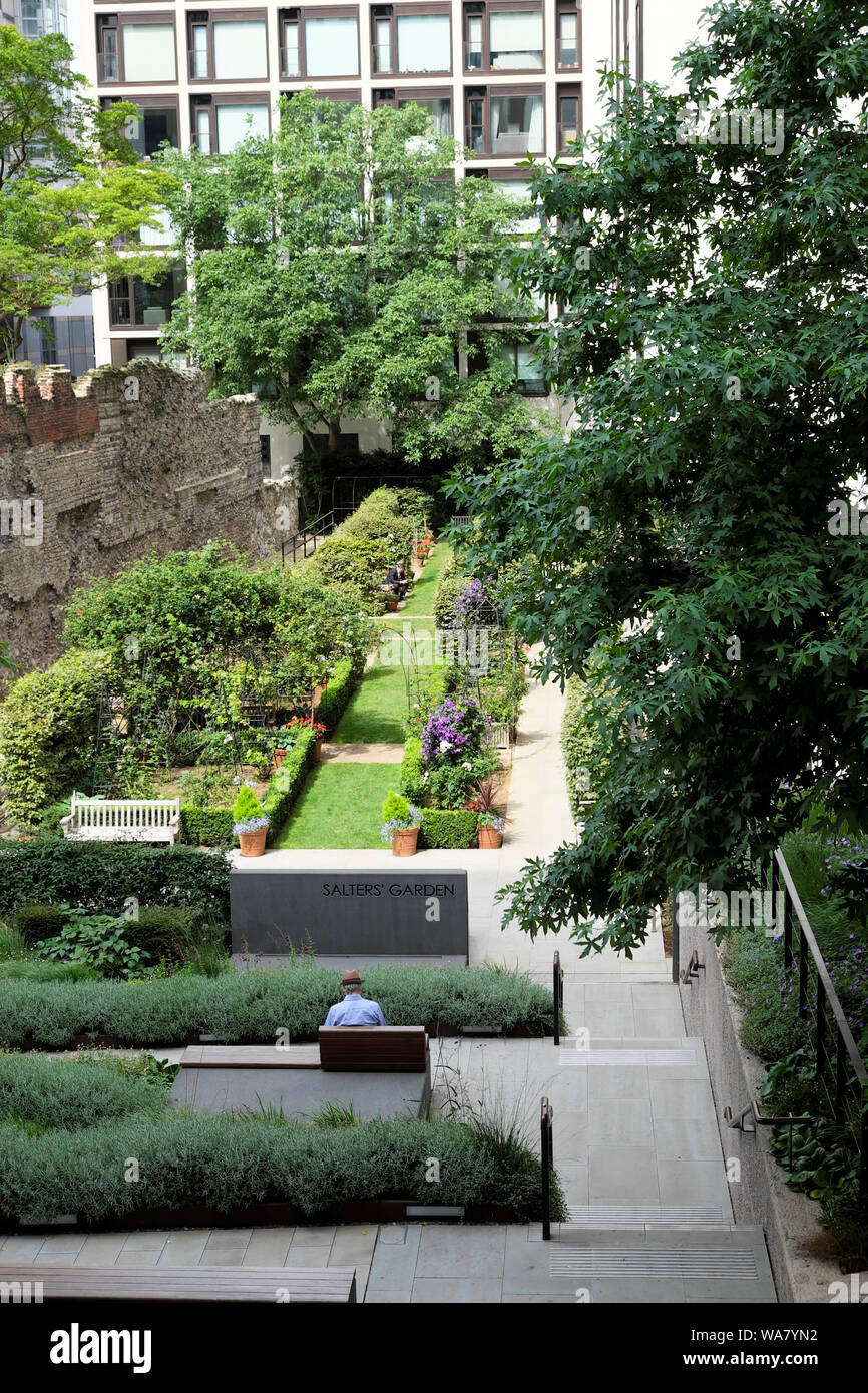 Vue verticale du jardin des saltes dans les jardins urbains de la ville de Londres août 2019 Londres UK KATHY DEWITT Banque D'Images