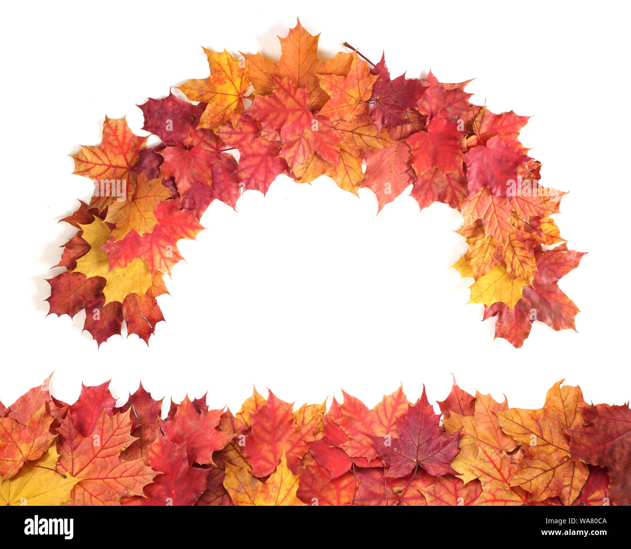 L'automne les feuilles isolées border frame isolé sur blanc design élément avec copie espace pour le texte Banque D'Images