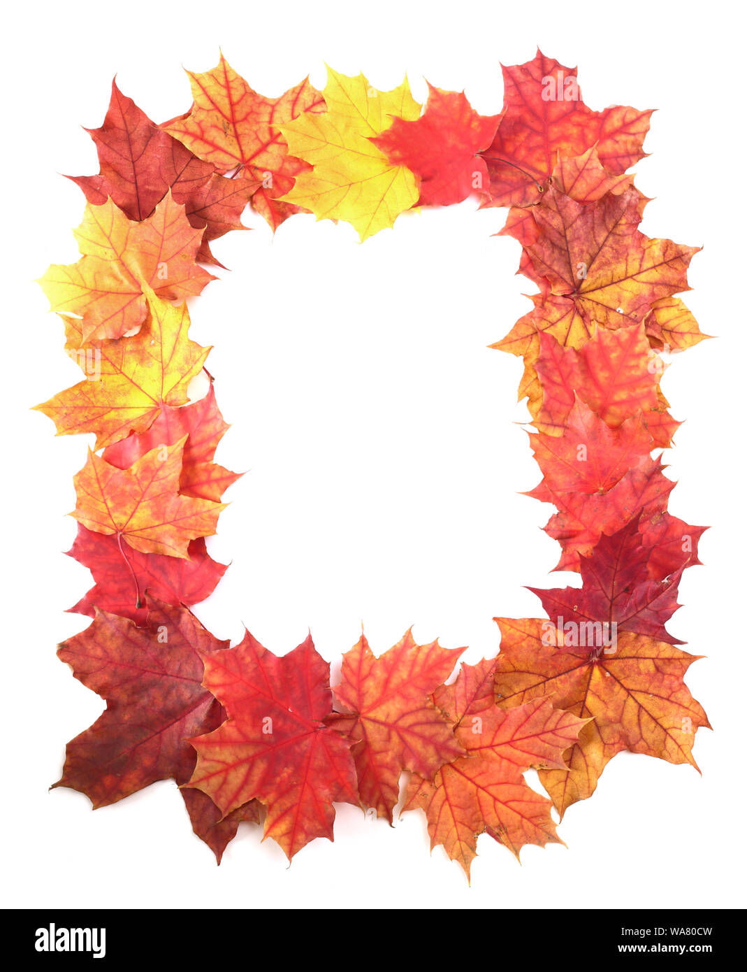 L'automne les feuilles isolées border frame stripe isolé sur blanc design élément avec copie espace pour le texte Banque D'Images