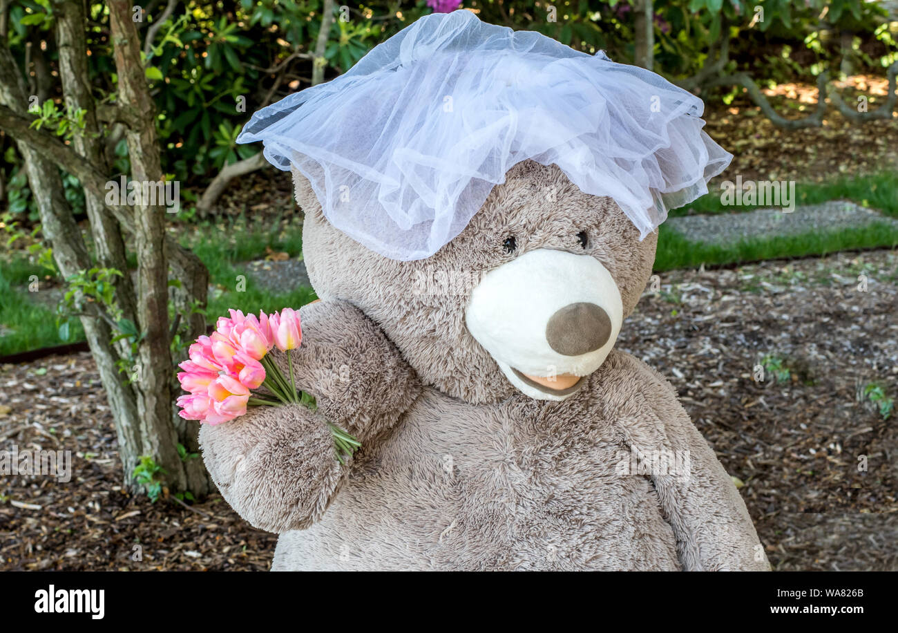 Portrait de mariage d'un grand ours en peluche, qui porte un voile et tient un ours à fleurs mariage Banque D'Images