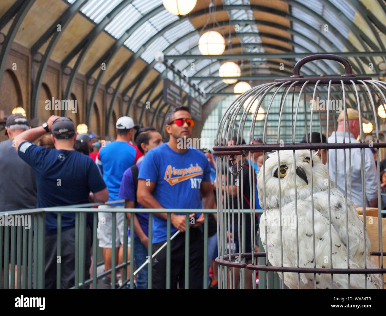 Le monde magique de Harry Potter à Universal Studios Florida, USA, 20 mai 2019, © Katharine Andriotis Banque D'Images