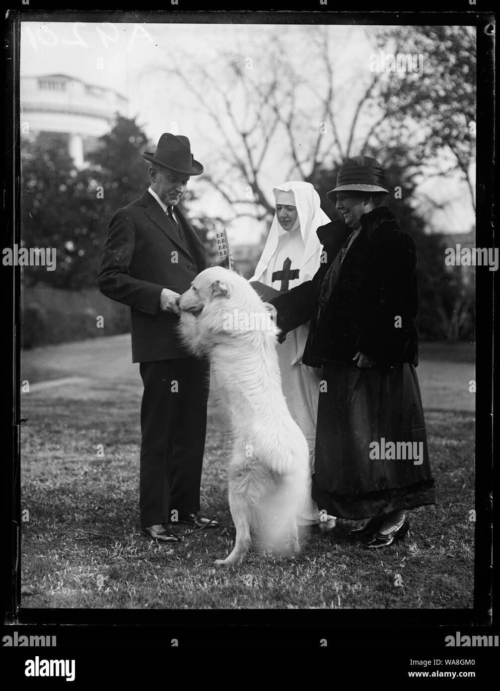 Calvin Coolidge avec chien et le timbre de Noël() et chien à la Maison Blanche, Washington, D.C. Banque D'Images
