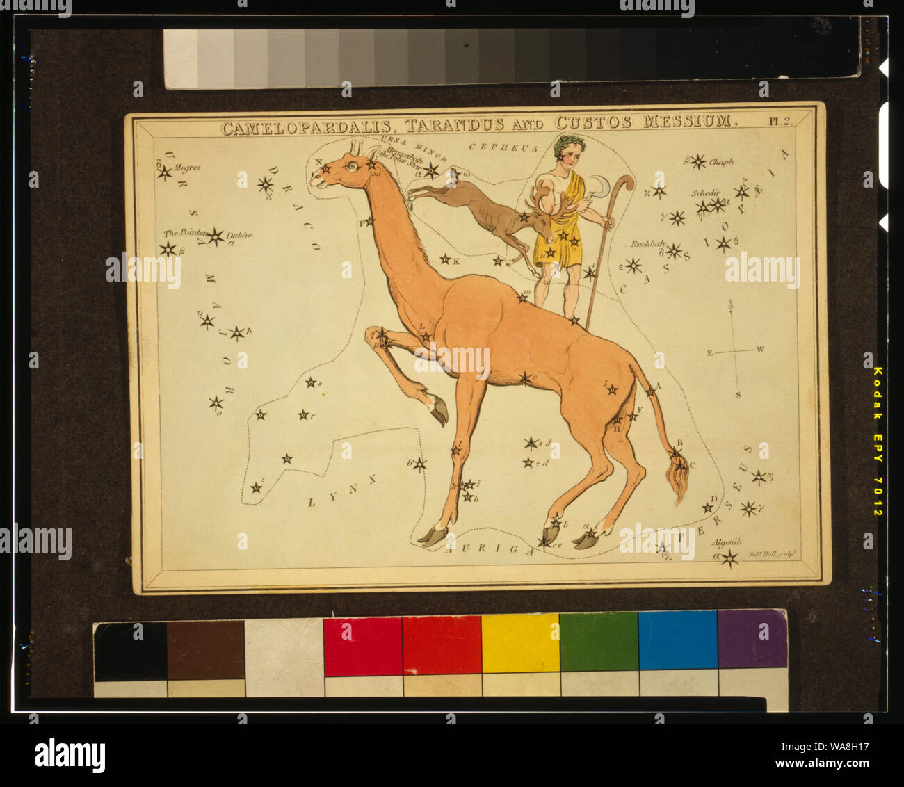 Camelopardalis, tarandus et Custos Messium / Sidy. Hall, sculpt. Banque D'Images Camelopardalis, tarandus et Custos Messium / Sidy. Hall, sculpt. Banque D'Images