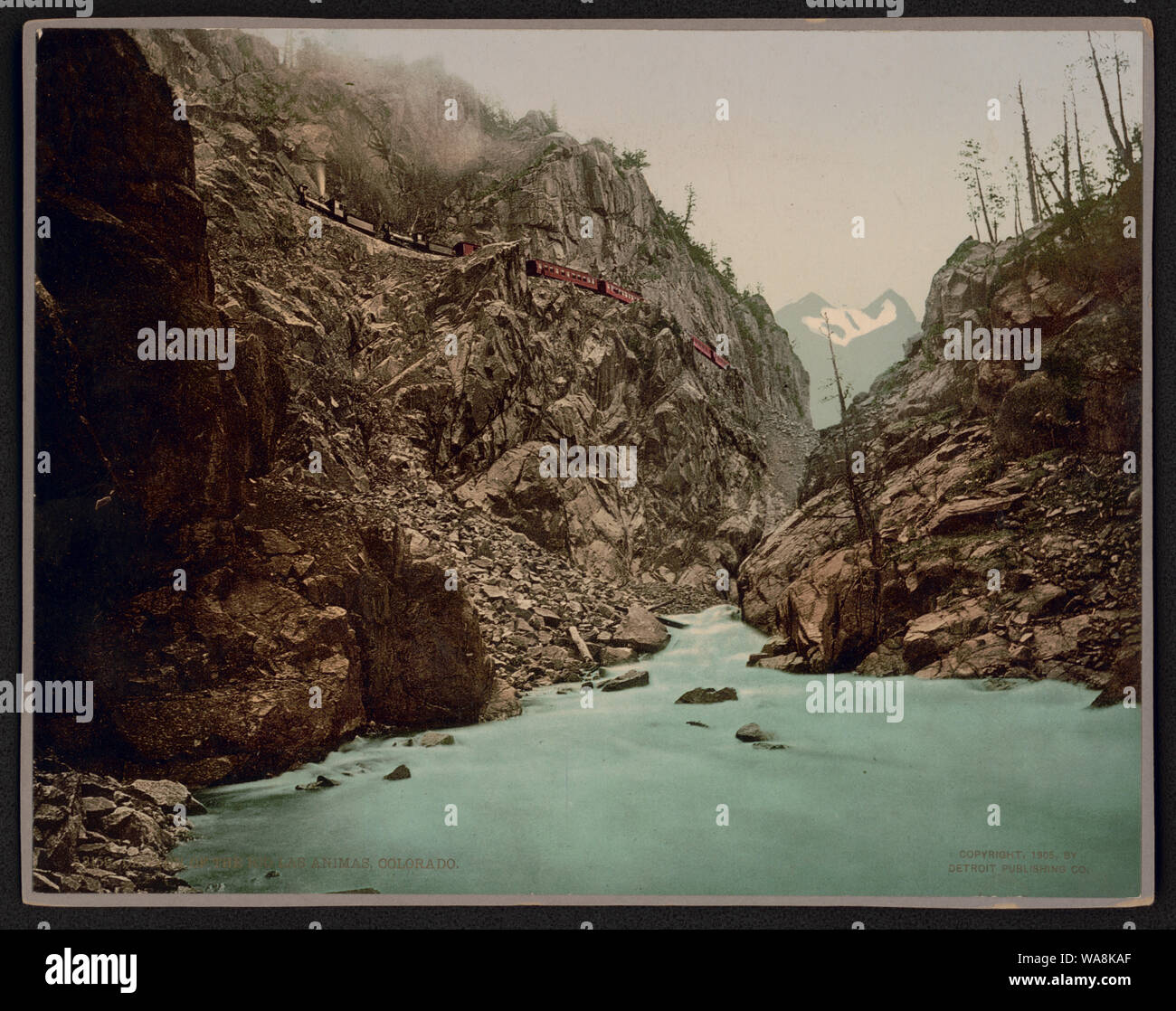 Canyon du Rio las Animas, Colorado Banque D'Images