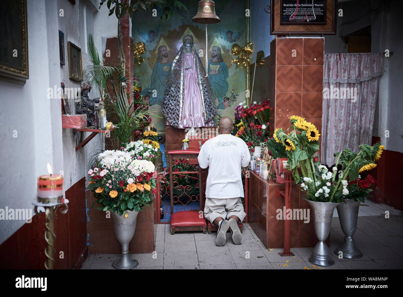 Les dévots de Nuestra Señora de la Santa Muerte (Notre Dame de la sainte mort) Visitez l'Église Santuario Nacional del Angel de la Santa Muerte Tepito, dans la ville de Mexico. Santa Muerte est le saint patron des criminels, des prostituées, des drogués, et tous ceux oubliés par la société. Une personnification de la mort, elle est associée à la guérison, la protection et la prestation sécuritaire de l'au-delà par ses dévots. Banque D'Images