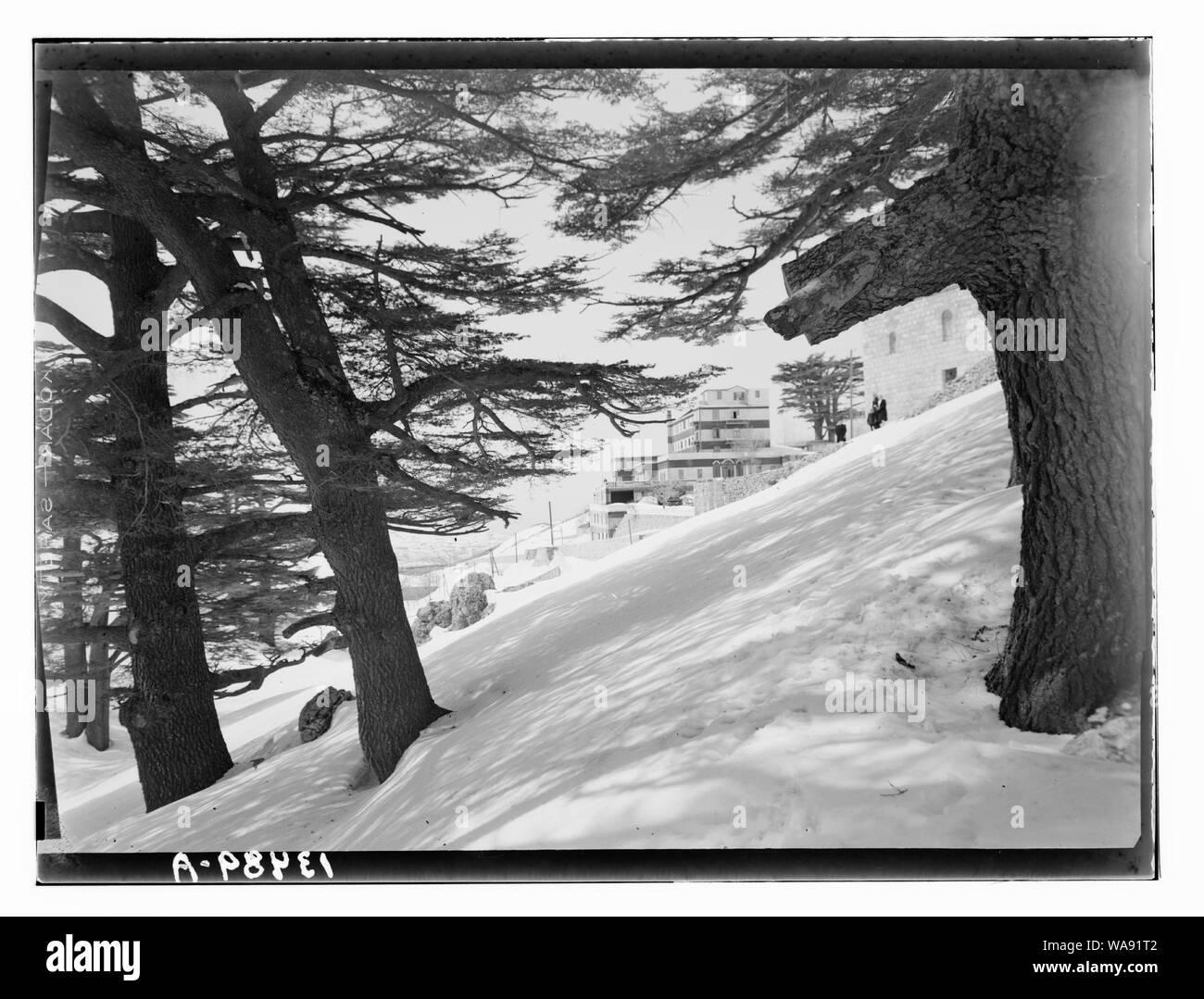 Les Cèdres, Cedar Grove montrant Grand Hotel Des Cedres Banque D'Images