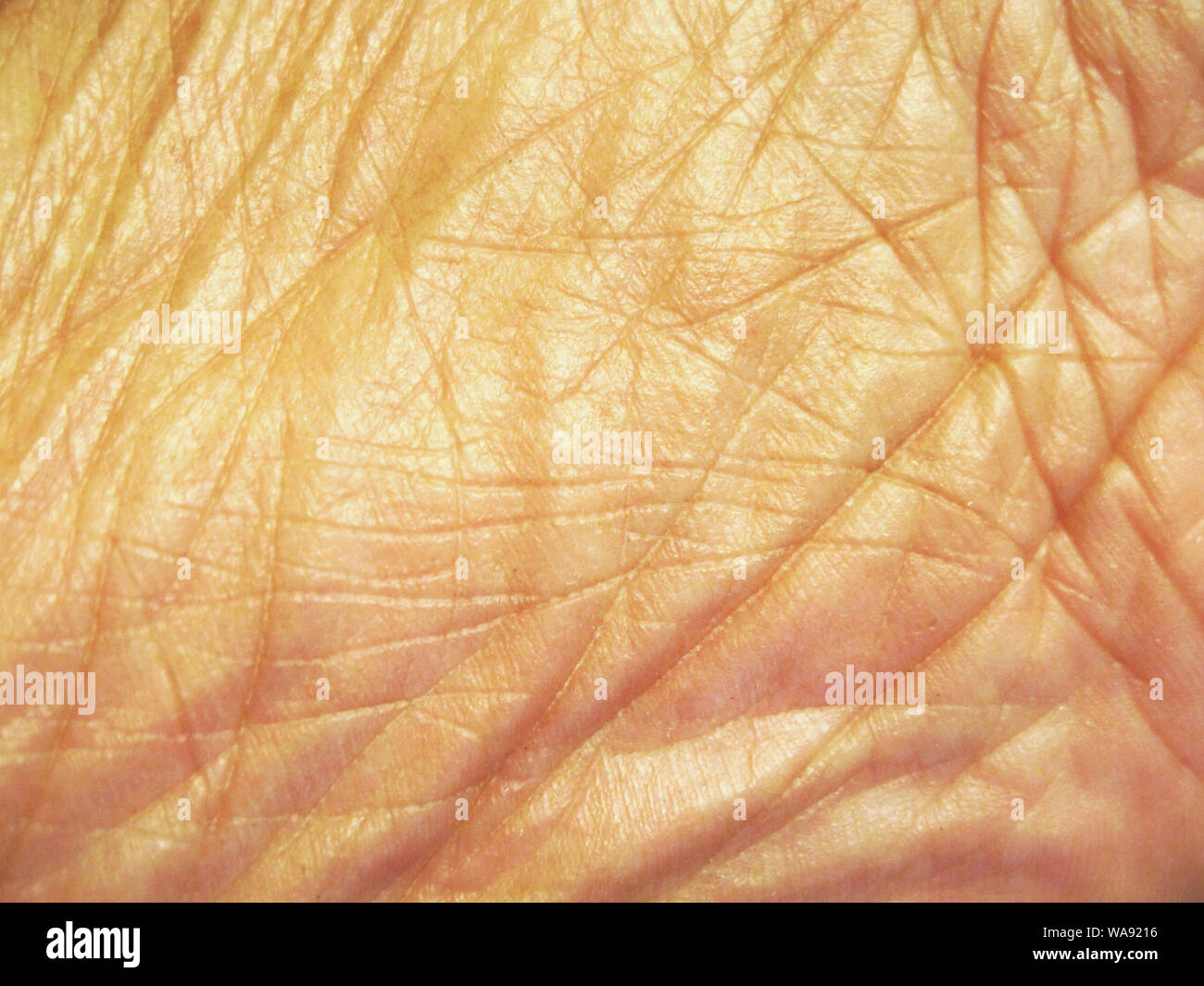 La texture de la peau du pied Banque D'Images