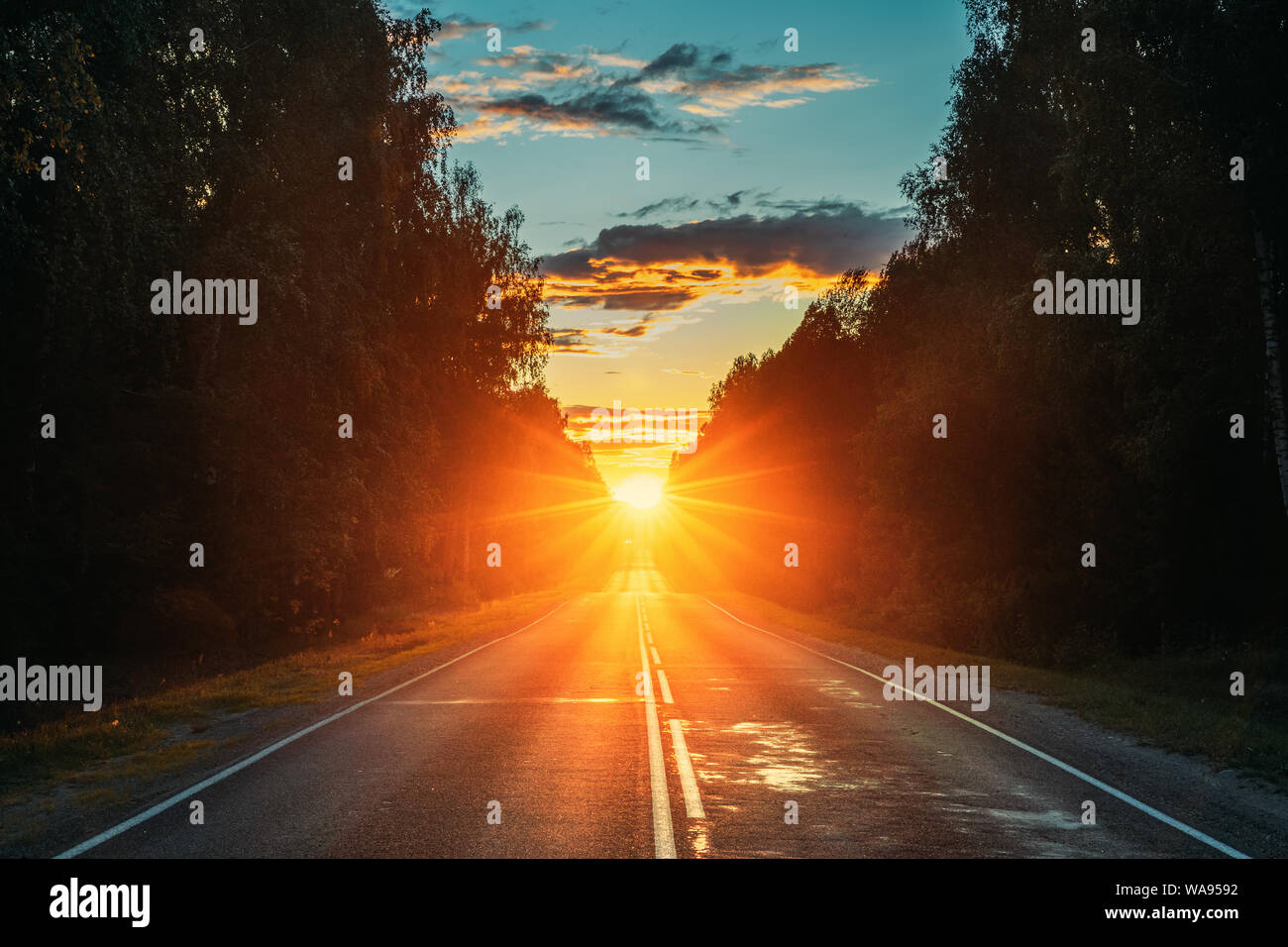 Lever de soleil sur l'Asphalte Pays Route ouverte sous le soleil de matin ou soir. La route ouverte en été ou en automne Saison au coucher et au lever du soleil temps ensoleillé Banque D'Images