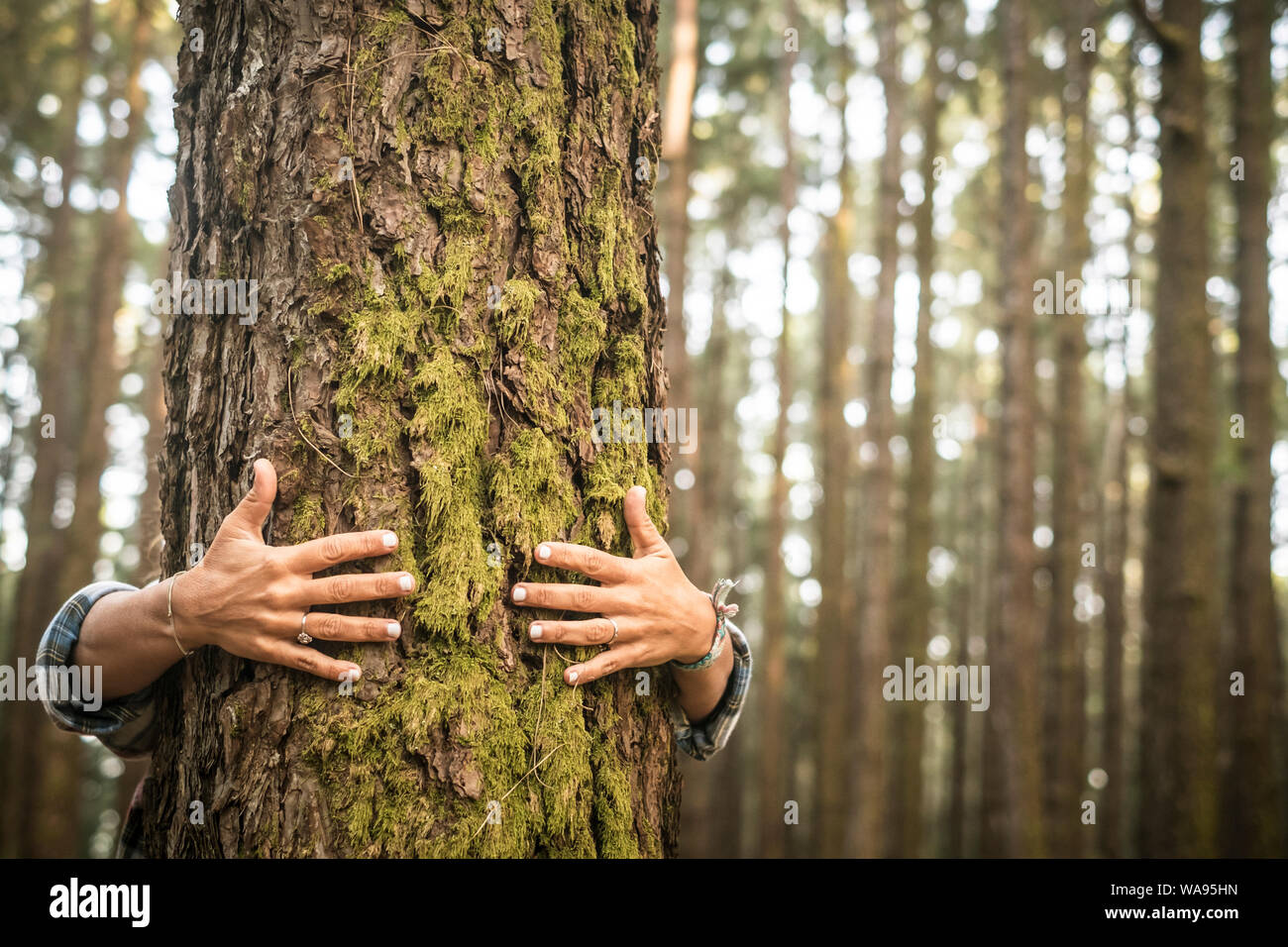 L'environnement et le respect de la nature de la Terre - concept hot woman hugging un arbre vert dans la forêt - sauver la planète et le changement climatique - bac de flou artistique Banque D'Images