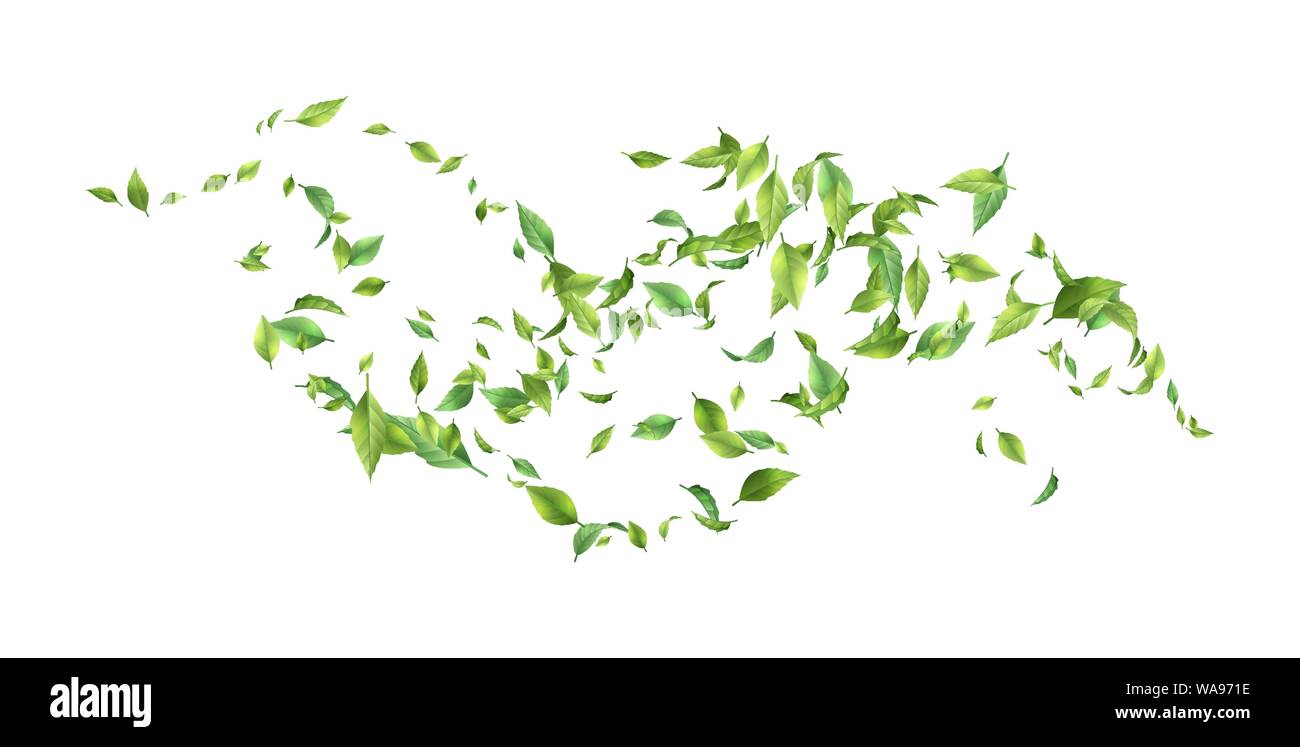 Feuilles verts tourbillonnant dans le vent Illustration de Vecteur