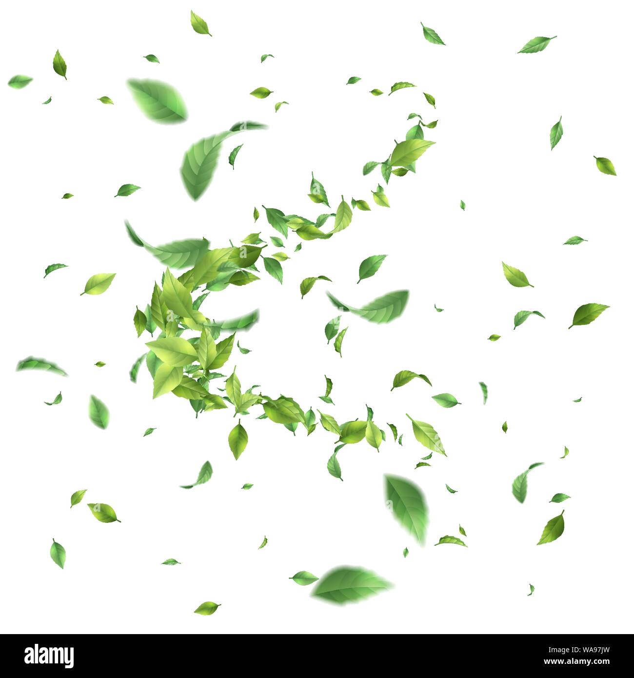 Feuilles verts tourbillonnant dans le vent Illustration de Vecteur